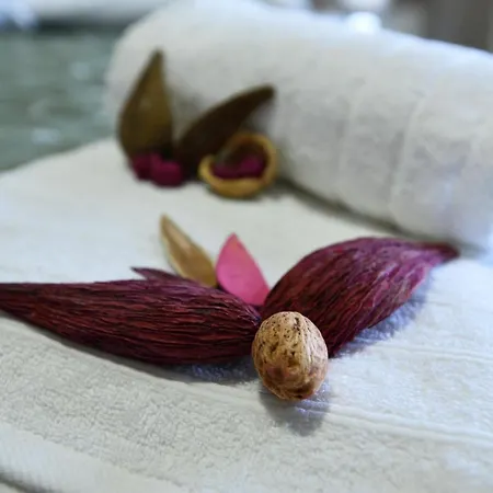 San Giorgio Luxury Appartamento Ierissós